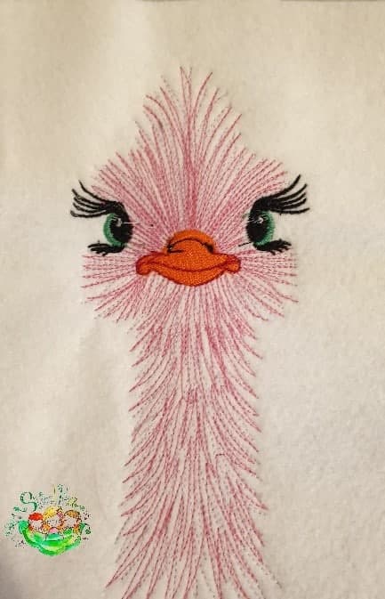 Sweetpea's Handmade Embroidered Frame Collection - Ostrich Female