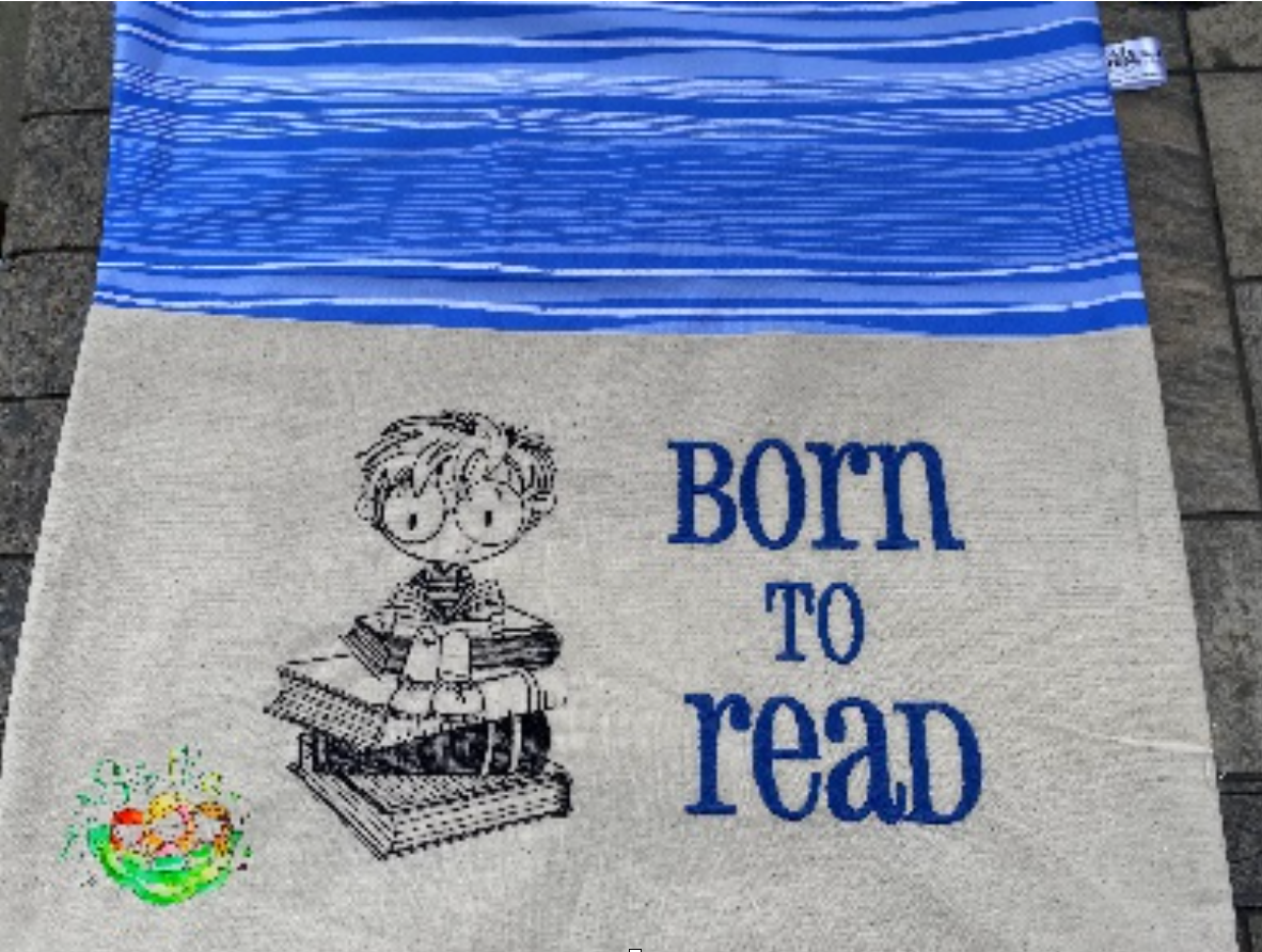 Sweetpea's Handmade Reading Cushion Collection - Booksitter Boy Born to Read