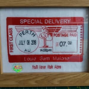 Sweetpea's Handmade Birth Announcement Frame Collection - Special Delivery